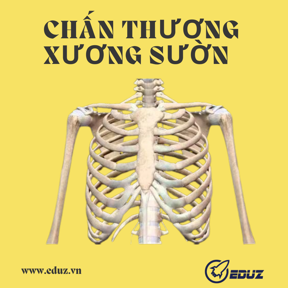 Sơ Cấp Cứu Thường Thức_Chấn Thương Xương Sườn